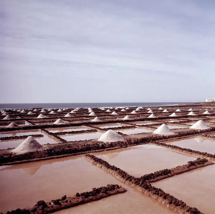 Stampa con cornice : Lanzarote. Esecuzione della raccolta di sale marino sulla Canaria di Lanzarote