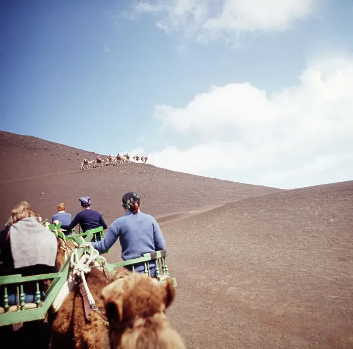 Stampa con cornice : Lanzarote. I turisti intraprendono un viaggio alle Montanas del Fuego