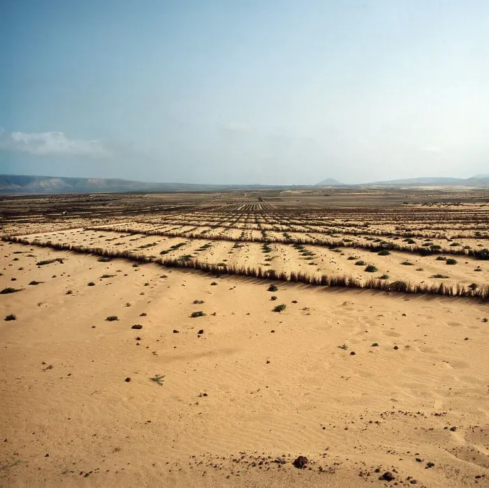 Impresión enmarcada : Lanzarote. Felder en la isla canaria de Lanzarote, España décadas de los años ochenta