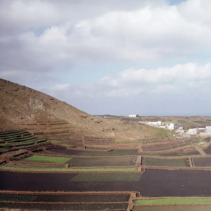 Impression encadrée : Lanzarote. Champs de terrasses à l'île des Canaries de Lanzarote en Espagne Impression encadrée : Lanzarote. Champs de terrasses à l'île des Canaries de Lanzarote en Espagne