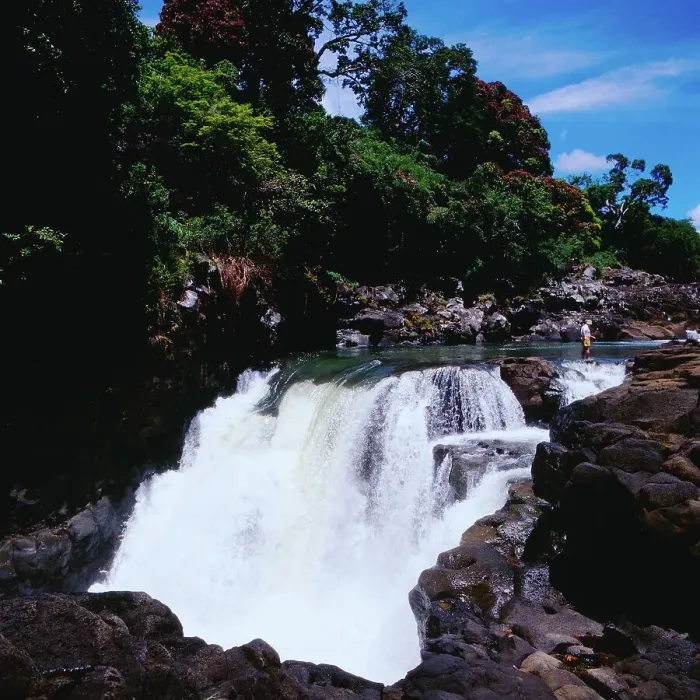 Impresión enmarcada : Mauritius. El Gran Río Sur Este (GRSE) Catar en la costa este de Mauricio