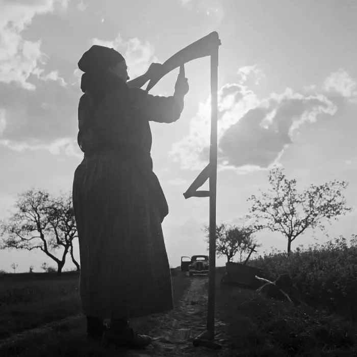 Impression encadrée : Menschen. Une paysanne aiguisait son couteau de moisson dans la lumière du crépuscule Impression encadrée : Menschen. Une paysanne aiguisait son couteau de moisson dans la lumière du crépuscule