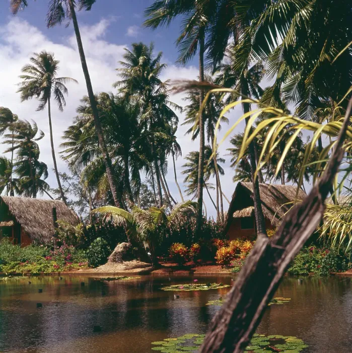 Stampa con cornice : Moorea. Una gita a Moorea, anni '80 Stampa con cornice : Moorea. Una gita a Moorea, anni '80