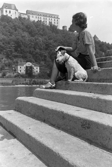 Framed Print : Passau. Eine Reise nach Passau, Deutsches Reich 1930er Jahre Framed Print : Passau. Eine Reise nach Passau, Deutsches Reich 1930er Jahre