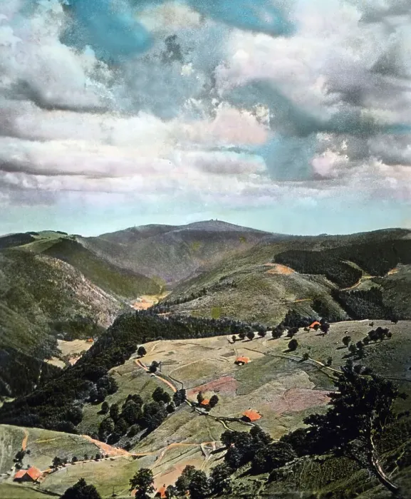 Framed Print : Schwarzwald Framed Print : Schwarzwald