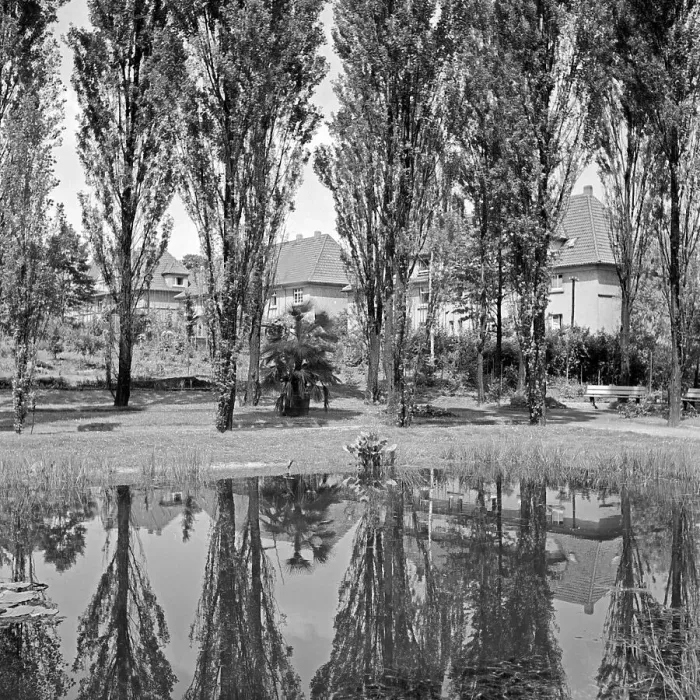 Impresión enmarcada : Solingen. Parque pequeño con estanque en Solingen, Alemania décadas de 1930