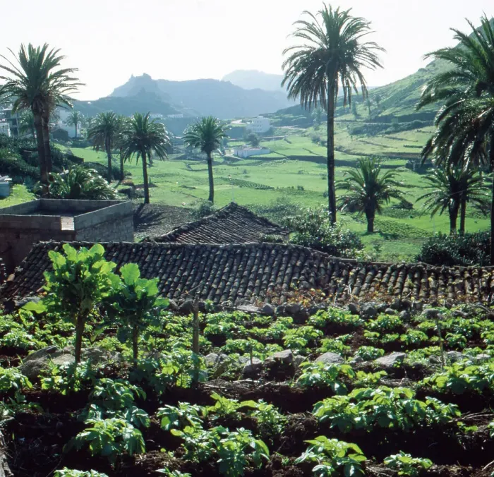 Gerahmter Druck : La Gomera in den 1980er Jahren Gerahmter Druck : La Gomera in den 1980er Jahren