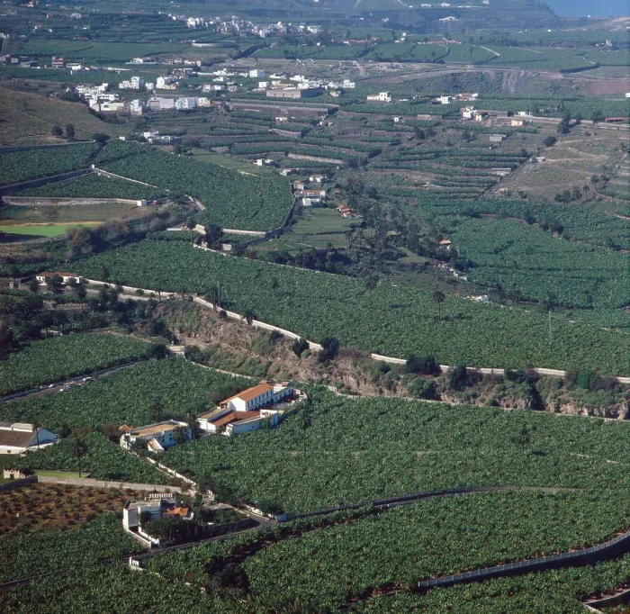 Impresión enmarcada : Spanien. Una visita a Gran Canaria, España décadas de los años setenta Impresión enmarcada : Spanien. Una visita a Gran Canaria, España décadas de los años setenta