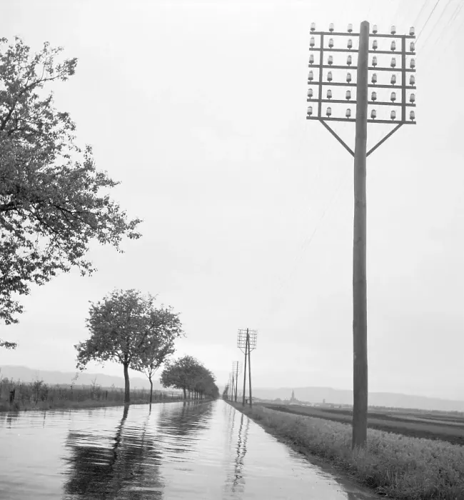 Impression encadrée : Straße. La Rue Regnassse, entourée de arbres et d'antennes télégraphiques