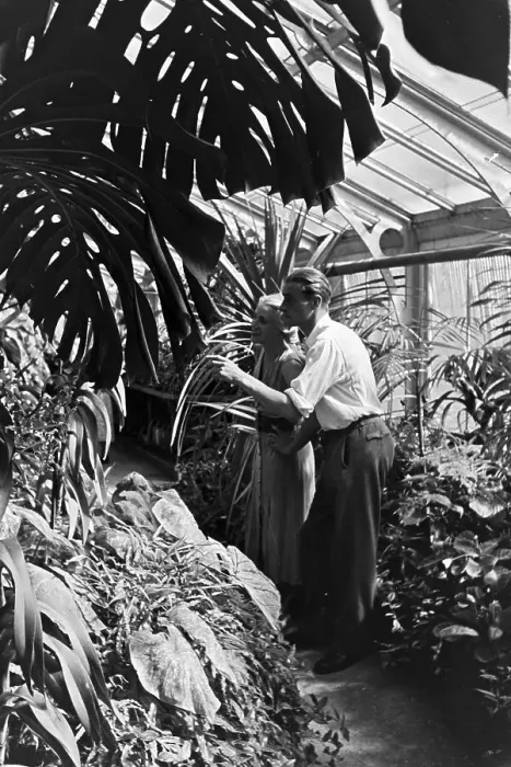 Impression encadrée : Stuttgart. Plantes exotiques au jardin botanique de l'État du Württemberg Impression encadrée : Stuttgart. Plantes exotiques au jardin botanique de l'État du Württemberg