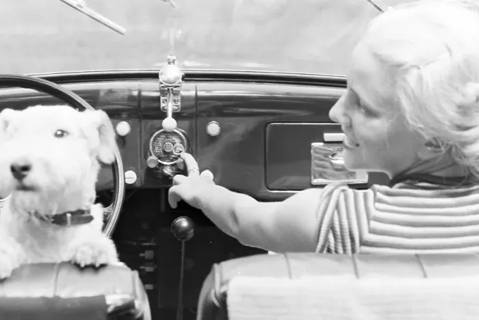Framed Print : Stuttgart. Eine junge Frau und ihr Hund in einem Ford V8, Deutschland 1930er Jahre Framed Print : Stuttgart. Eine junge Frau und ihr Hund in einem Ford V8, Deutschland 1930er Jahre