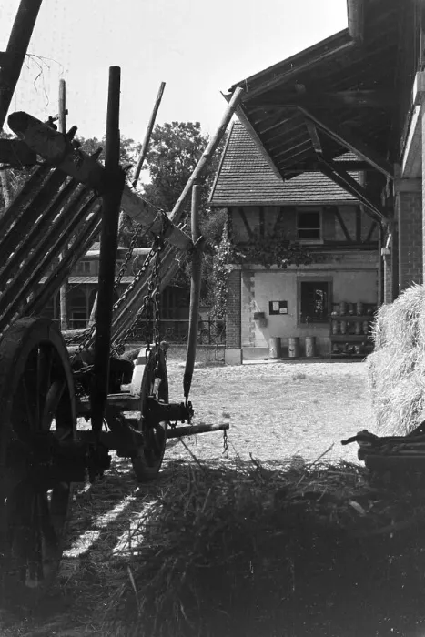 Impression encadrée : Stuttgart. Un jardin derrière à Stuttgart en Allemagne dans les années 1930