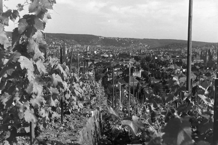 Gerahmter Druck : Stuttgart. Panoramische Aussicht von Stuttgarter Weinbergen in der deutschen