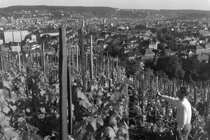 Framed Print : Stuttgart. Blick auf Stuttgart von den Weinhängen aus, Deutschland 1930er Jahre Framed Print : Stuttgart. Blick auf Stuttgart von den Weinhängen aus, Deutschland 1930er Jahre