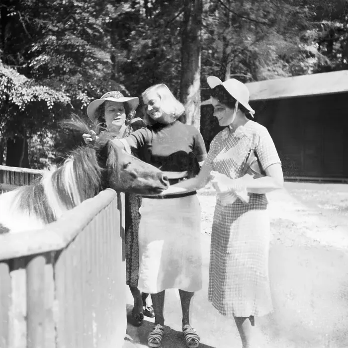 Gerahmter Druck : Stuttgart. Dreie junge Frauen an der Pferdegitterung des Wildparks Wilhelms Gerahmter Druck : Stuttgart. Dreie junge Frauen an der Pferdegitterung des Wildparks Wilhelms