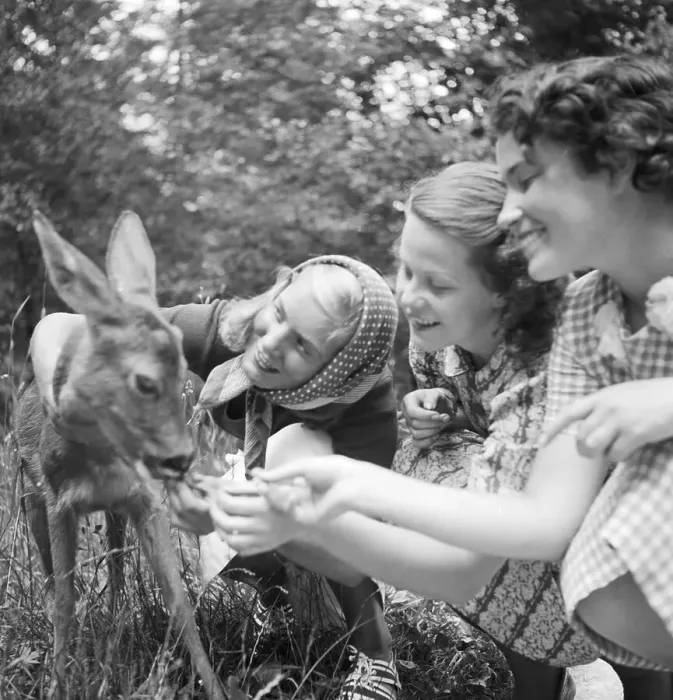 Framed Print : Stuttgart. Drei junge Frauen mit einem Rehkitz im Wilhlema Tierpark in Stuttgart