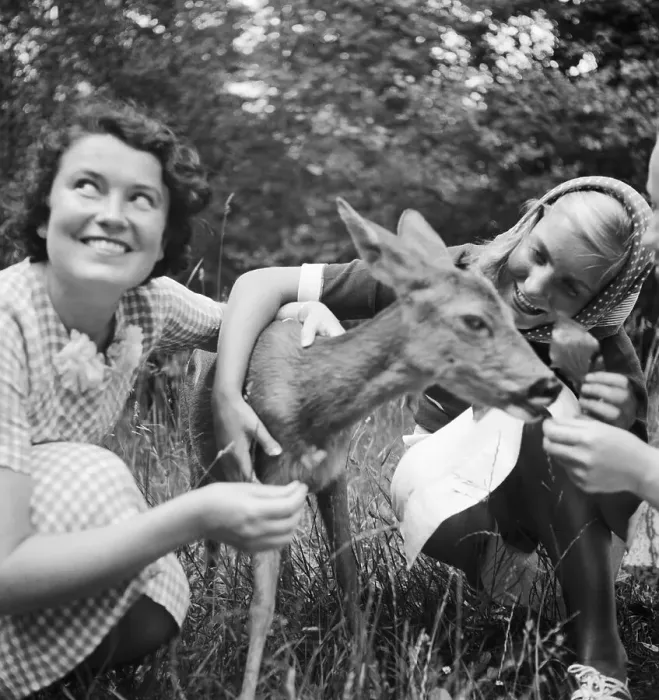 Gerahmter Druck : Stuttgart. Zweieinhalb junge Frauen mit einem Füchskitze im Wildleben-Tierpark Gerahmter Druck : Stuttgart. Zweieinhalb junge Frauen mit einem Füchskitze im Wildleben-Tierpark