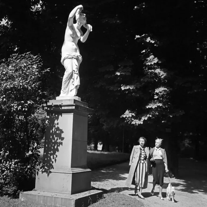 Stampa con cornice : Stuttgart. Due giovani donne con un fox terriere passeggiano davanti una Stampa con cornice : Stuttgart. Due giovani donne con un fox terriere passeggiano davanti una