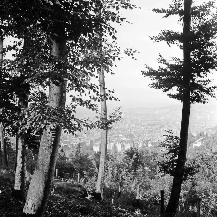 Gerahmter Druck : Stuttgart. Blick aus der Höhe über die Stadt Stuttgart in den 1930ern Jahren