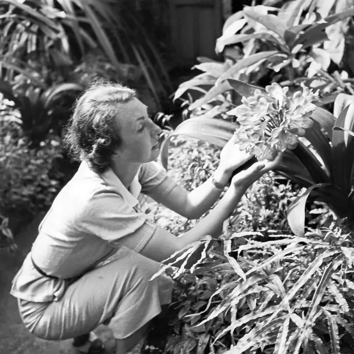 Impression encadrée : Stuttgart. Une jeune femme admire les orchidées tropicales dans un serre Impression encadrée : Stuttgart. Une jeune femme admire les orchidées tropicales dans un serre