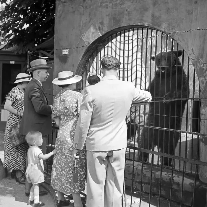 Framed Print : Stuttgart. Am Bärengehege im Wilhelma Tierpark in Stuttgart, Deutschland 1930er Jahre Framed Print : Stuttgart. Am Bärengehege im Wilhelma Tierpark in Stuttgart, Deutschland 1930er Jahre