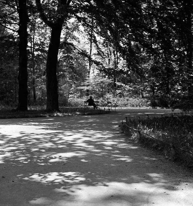 Framed Print : Weimar. Ein Mann sitzt in Weimar in einem Park auf einer Bank, Deutschland 1930er Jahre