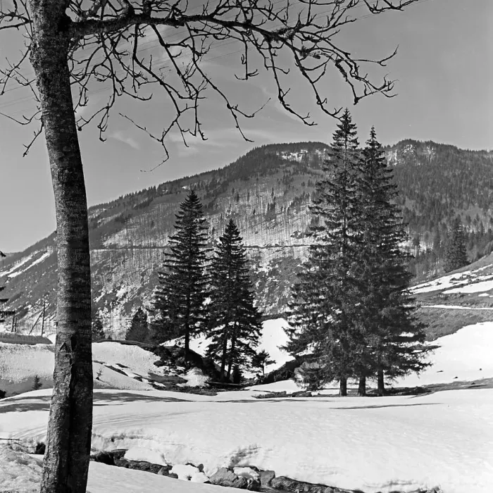Stampa con cornice : Winter. Il campo di svolgimento dei bombardieri alleati nel tardo maggio Stampa con cornice : Winter. Il campo di svolgimento dei bombardieri alleati nel tardo maggio