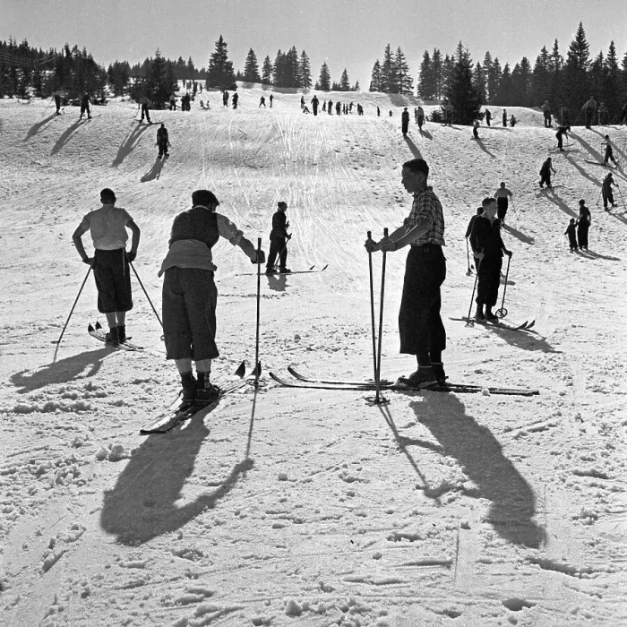 Stampa con cornice : Winter. Cacciatori di piste da sci al pendio, Germania anni '30 Stampa con cornice : Winter. Cacciatori di piste da sci al pendio, Germania anni '30