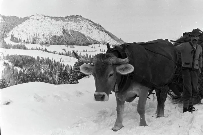 Impresión enmarcada : Winter. Una variedad de paisajes invernales en Alemania durante los años treinta