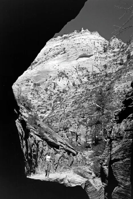 Stampa con cornice : A visit in Western United States