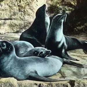 Besuch im Zoo Besuch im Zoo