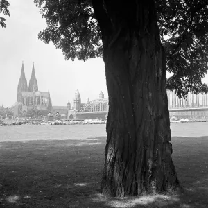 Köln Köln