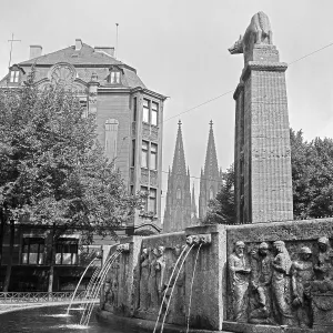 Köln Köln