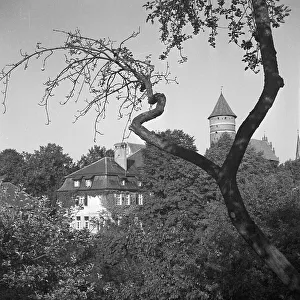 Allenstein