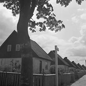 Kustengebiet Drucke: Allenstein