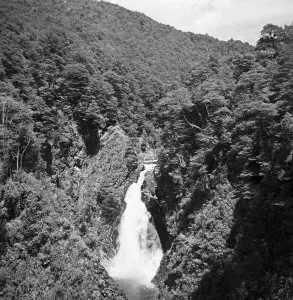 Provinz Prints: Argentinien