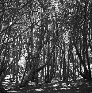 Provinz Prints: Argentinien
