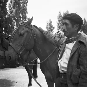 Mule Prints: Argentinien