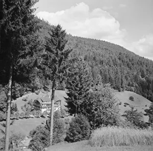 Ripa di Bad Rippoldsau e Scappo