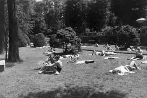 Grass Impressions: Stuttgart Bad