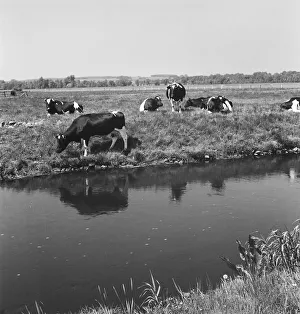 bei Bremen