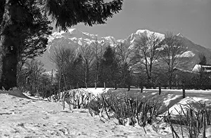 Terre de Berchtoldsfeld