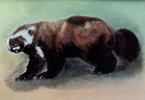 Besuch im Zoo