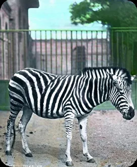 Besuch im Zoo