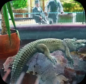 Besuch im Zoo