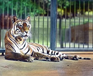 Besuch im Zoo