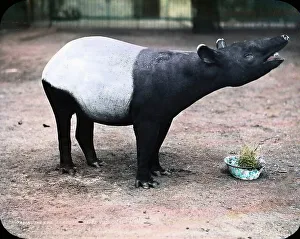 Besuch im Zoo