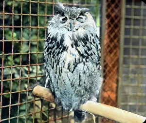 Besuch im Zoo