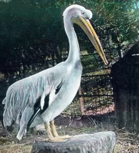 Besuch im Zoo