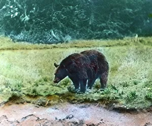 Besuch im Zoo